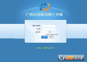 广西国税网上申报系统客户端