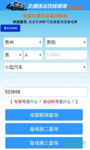 手机查违章推广客户端 v1.3 Android版