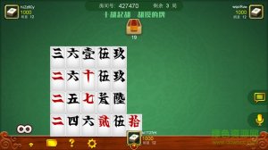 皮皮跑胡子推广客户端 v1.0