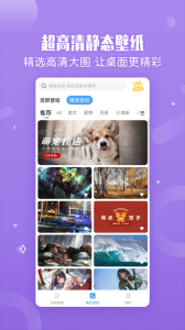 小鸟壁纸图片手机版 v3.0.2